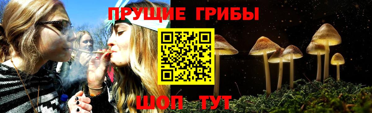 Уварово  Псилоцибиновые грибы Cubensis  Вход с VPN 